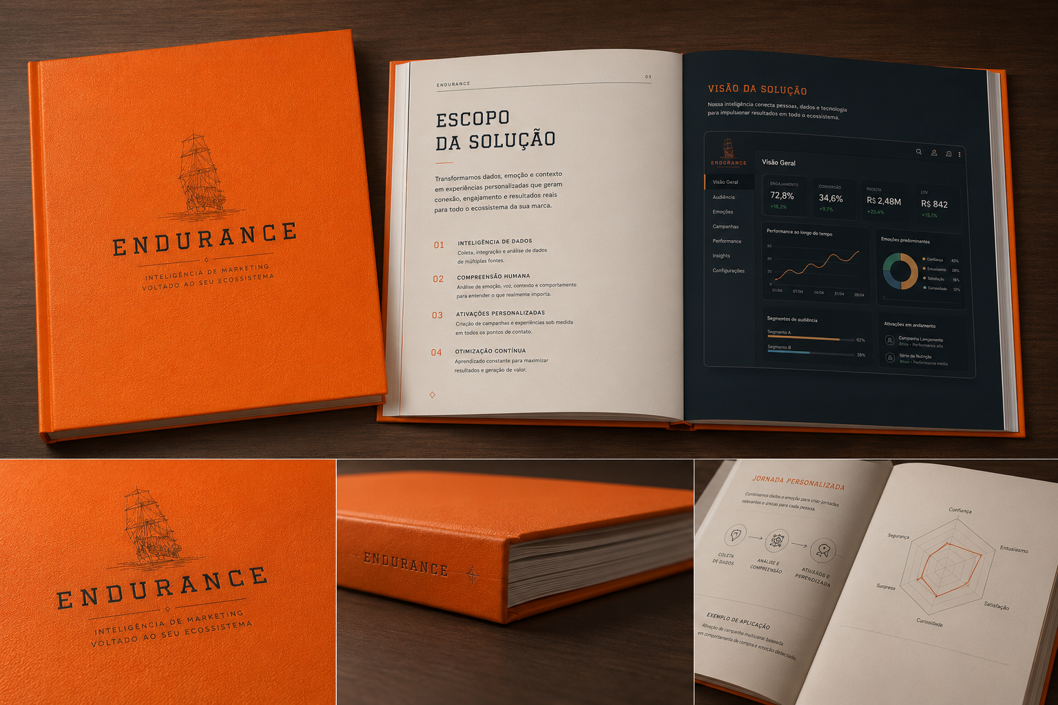 Livro estratégico Endurance e dashboard de inteligência