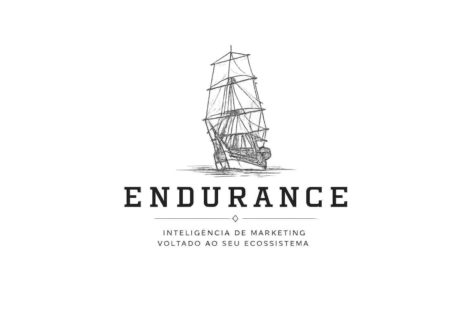 Endurance — embarcação navegando